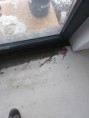 /album/nivelace/20211206-091554-kopie-jpg/